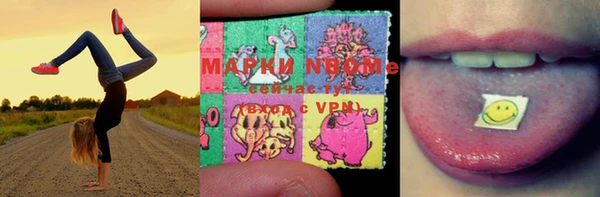 хмурый Алексин