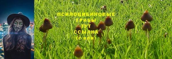 соль курить ск Арсеньев