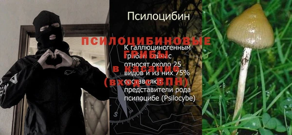 хмурый Алексин