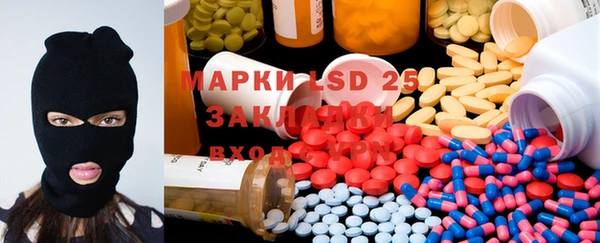 PSILOCYBIN Алзамай