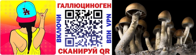 закладки  OMG рабочий сайт  Псилоцибиновые грибы Magic Shrooms  Крым 